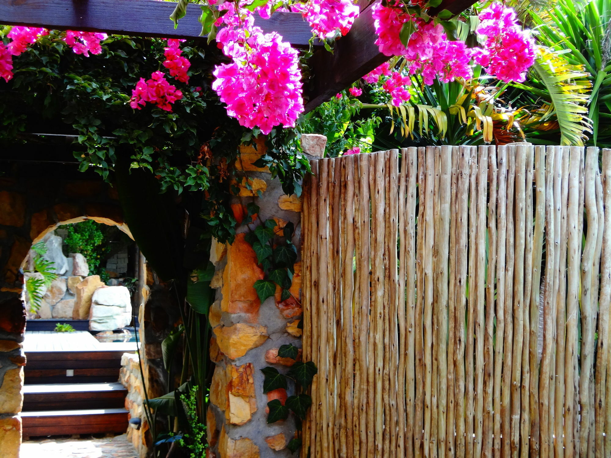 נורדהוק African Violet Guest Suites מראה חיצוני תמונה